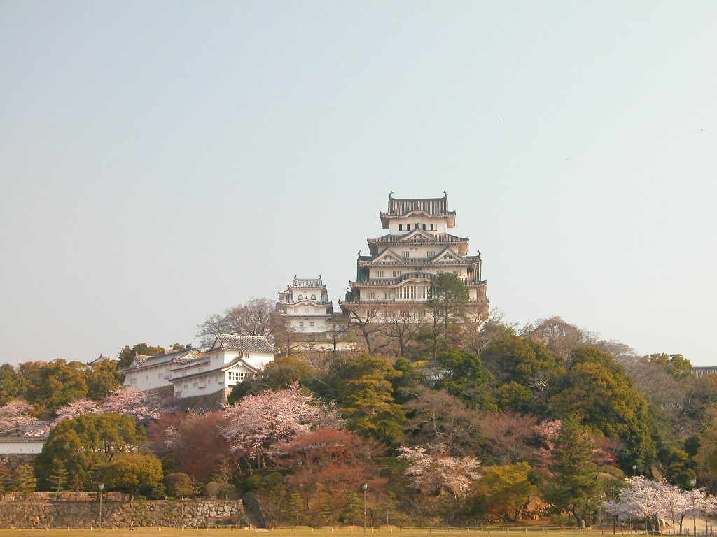 姬路城櫻2.jpg
